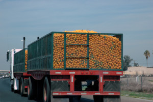 Common Risk Exposures for Produce Distributors 